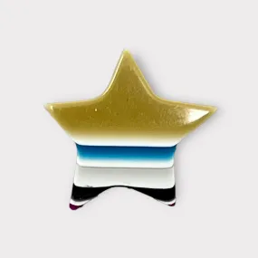 Léa Stein Star Brooch Pin