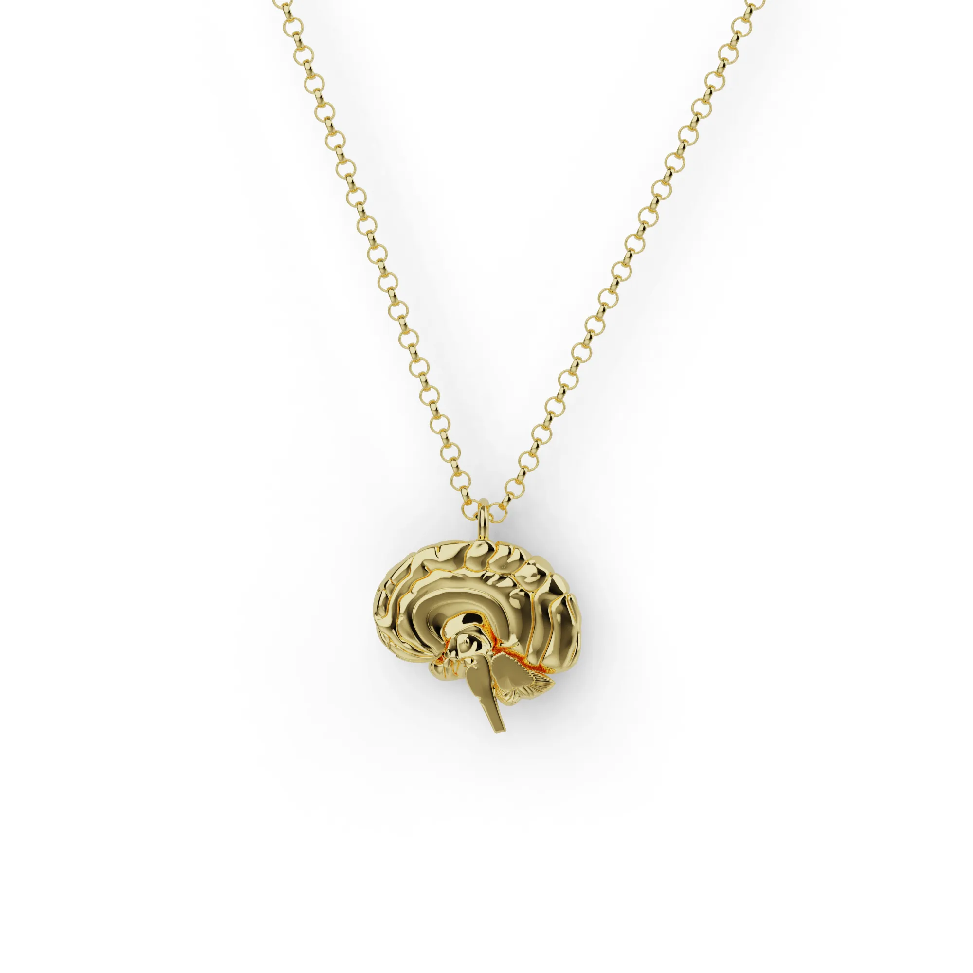 sagittal brain necklace | gold vermeil